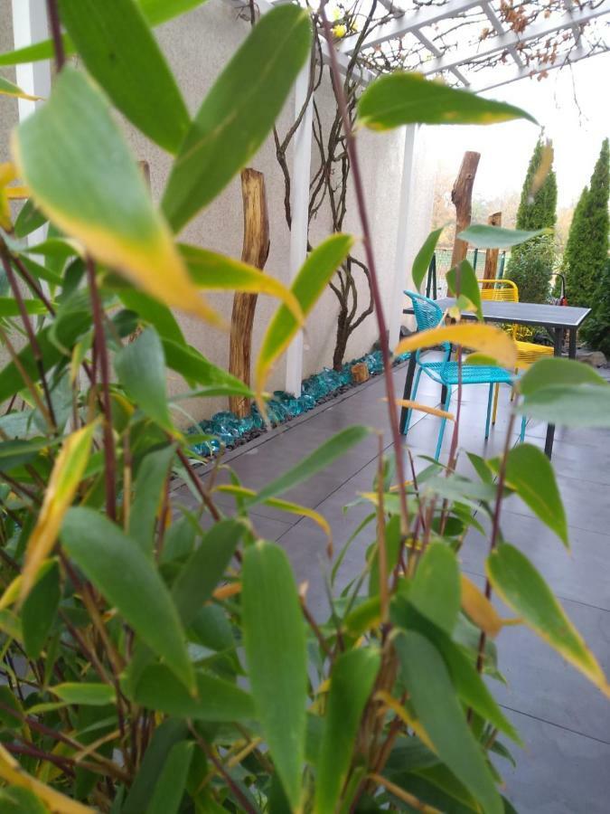 Art & Nature Apartments In Der Naehe Ffm-Messe 바트빌벨 외부 사진