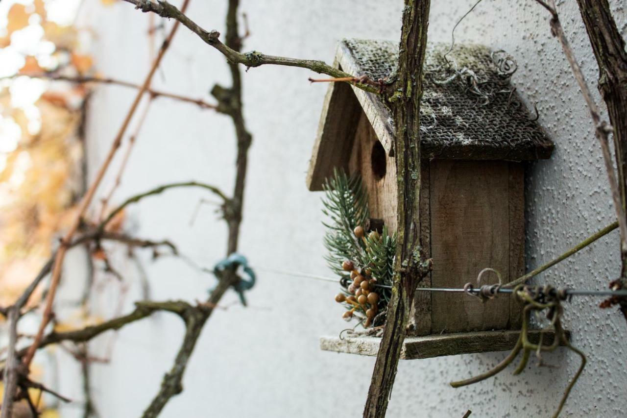 Art & Nature Apartments In Der Naehe Ffm-Messe 바트빌벨 외부 사진
